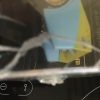 IMG_0548